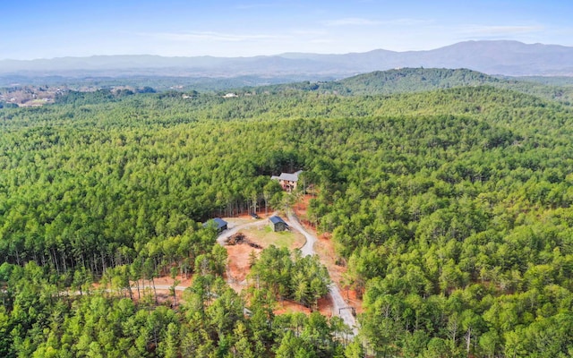 drone / aerial view with a mountain view