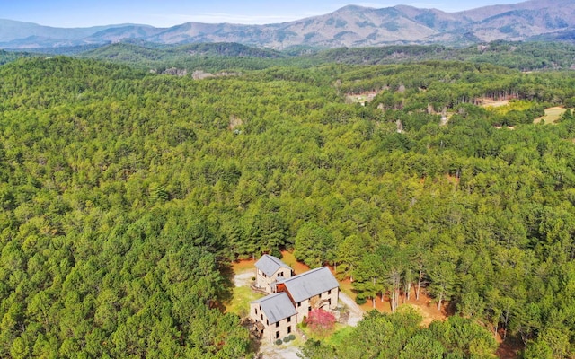 aerial view with a mountain view