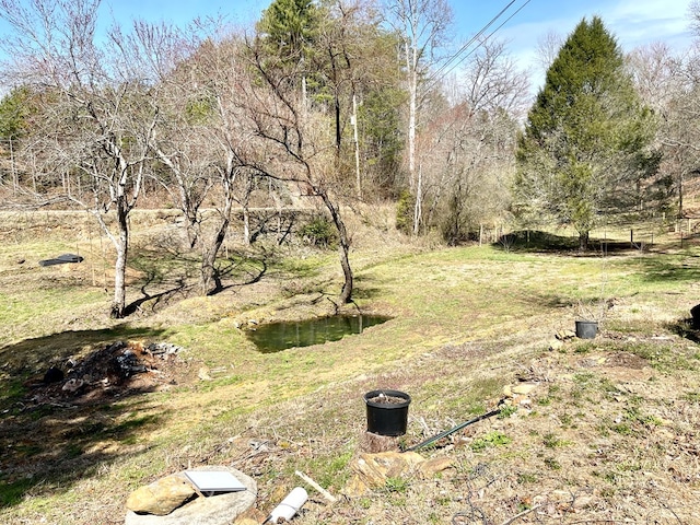 37 Shady Creek Rdg, Marble, NC 28905 - view of yard