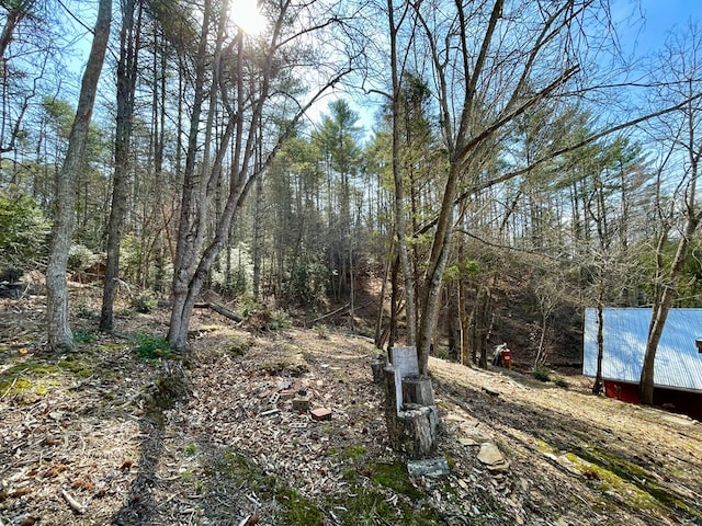 37 Shady Creek Rdg, Marble, NC 28905 - view of yard with a view of trees