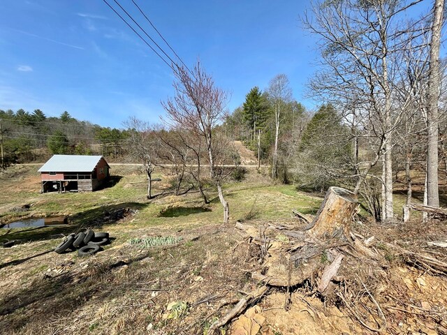 37 Shady Creek Rdg, Marble, NC 28905 - view of yard with an outbuilding
