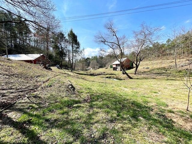 37 Shady Creek Rdg, Marble, NC 28905 - view of yard with an outdoor structure