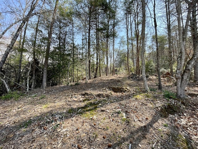 37 Shady Creek Rdg, Marble, NC 28905 - view of landscape