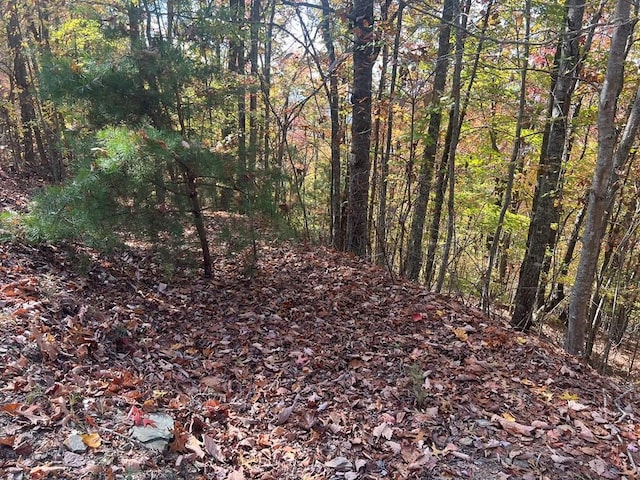 0 Canterbury Rd, Murphy, NC 28906