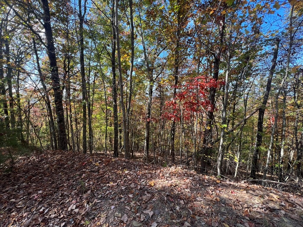 0 Canterbury Rd, Murphy, NC 28906