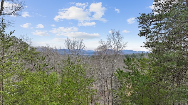 property view of mountains with a wooded view