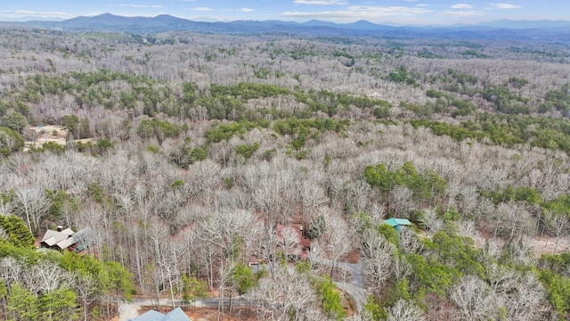 drone / aerial view with a view of trees and a mountain view