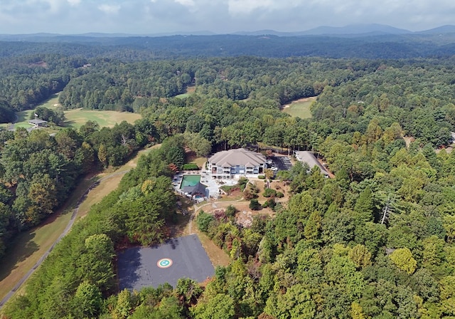 aerial view with a mountain view