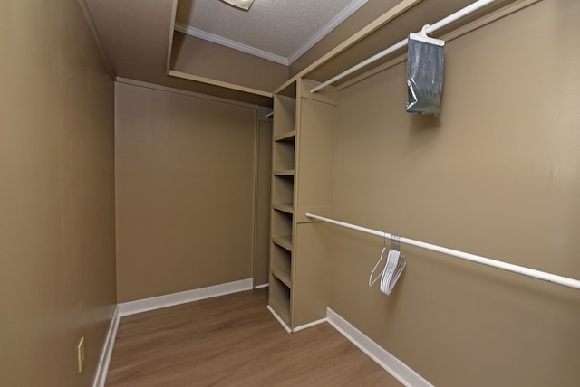 walk in closet with wood-type flooring