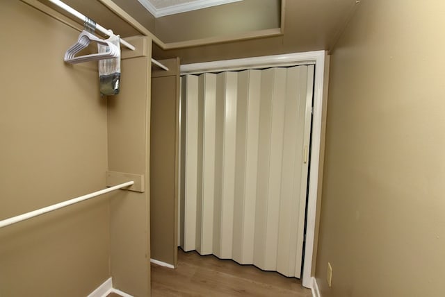 walk in closet with light hardwood / wood-style flooring