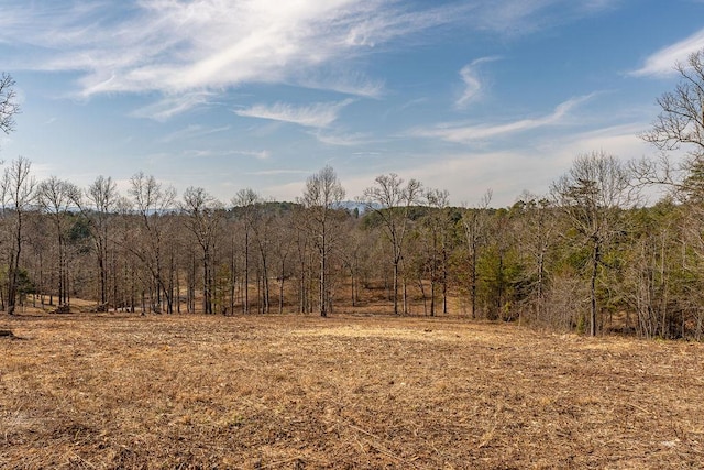 LOT7 Arbor Creek Trl, Mineral Bluff GA, 30559 land for sale