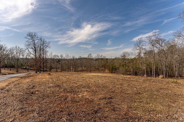 Listing photo 2 for LOT7 Arbor Creek Trl, Mineral Bluff GA 30559