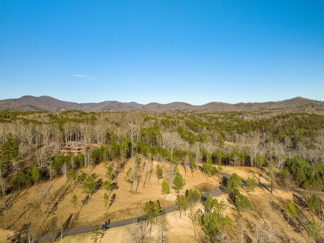 Listing photo 3 for LOT7 Arbor Creek Trl, Mineral Bluff GA 30559