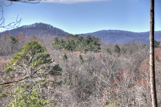 mountain view featuring a forest view