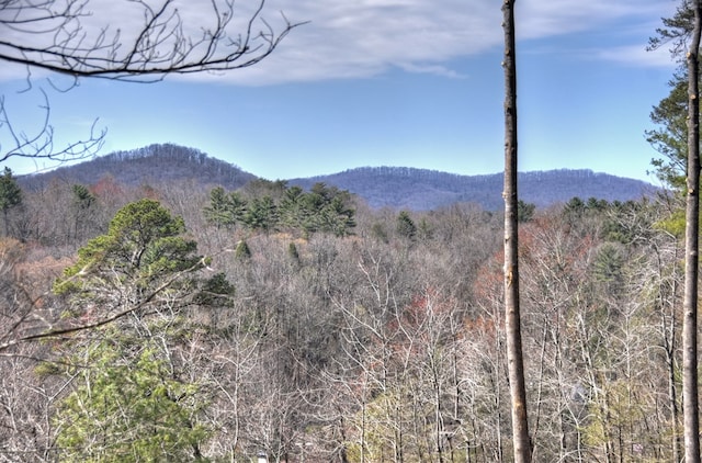 property view of mountains featuring a forest view