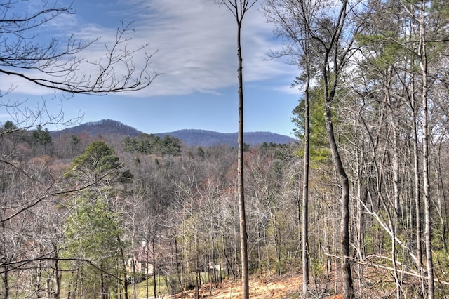mountain view with a forest view