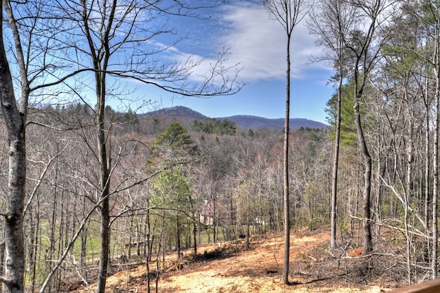 mountain view with a forest view