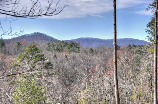 mountain view featuring a forest view