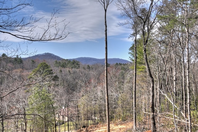 view of mountain feature featuring a wooded view