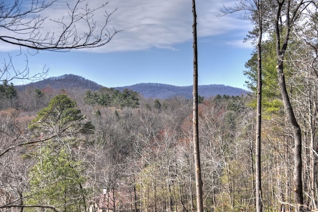 view of mountain feature featuring a forest view