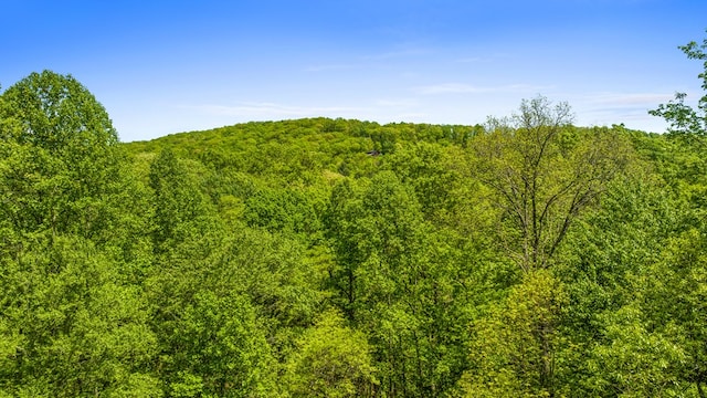 view of local wilderness featuring a forest view