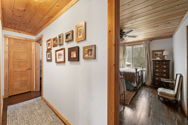 corridor featuring dark wood-type flooring and wooden ceiling