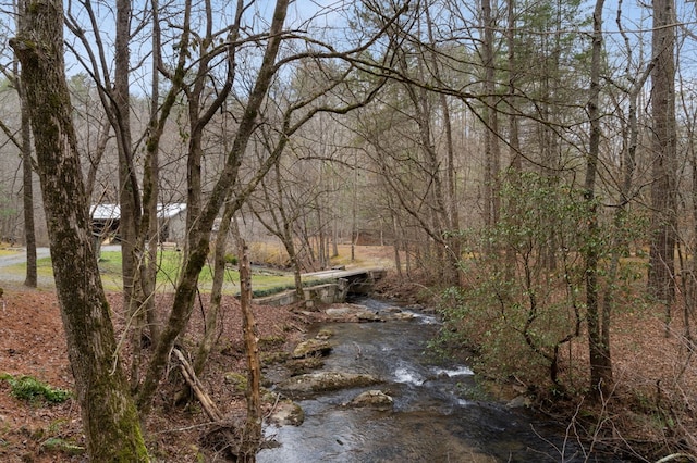 view of local wilderness