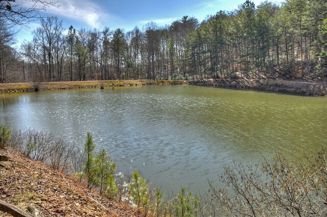 view of water feature with a forest view