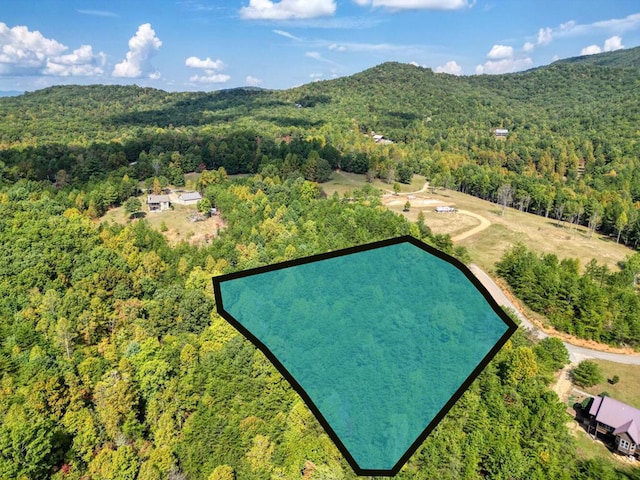 TRACT2 Barnes Creek Rd, Blairsville GA, 30512 land for sale