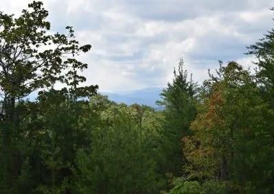 213 Golden Eagle Cir, Turtletown TN, 37391 land for sale