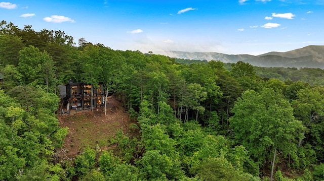 view of mountain feature featuring a view of trees