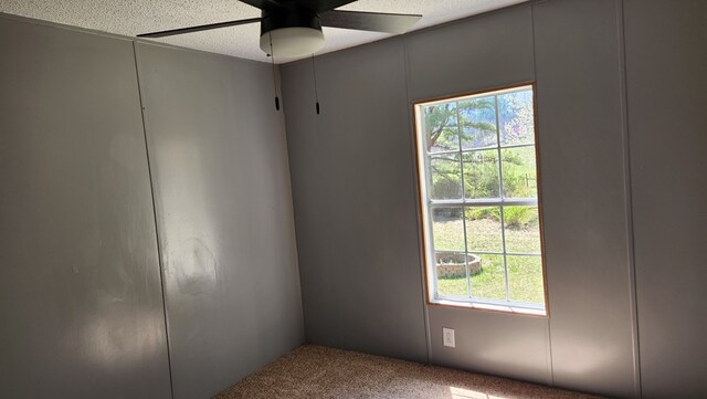 349 Kirby Ln, Murphy, NC 28906 - carpeted empty room featuring a wealth of natural light and a ceiling fan