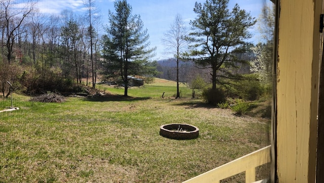 349 Kirby Ln, Murphy, NC 28906 - view of yard