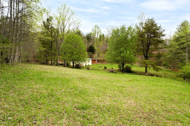 349 Kirby Ln, Murphy, NC 28906 - view of yard