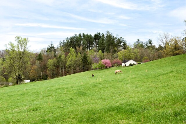 349 Kirby Ln, Murphy, NC 28906 - view of yard featuring a rural view