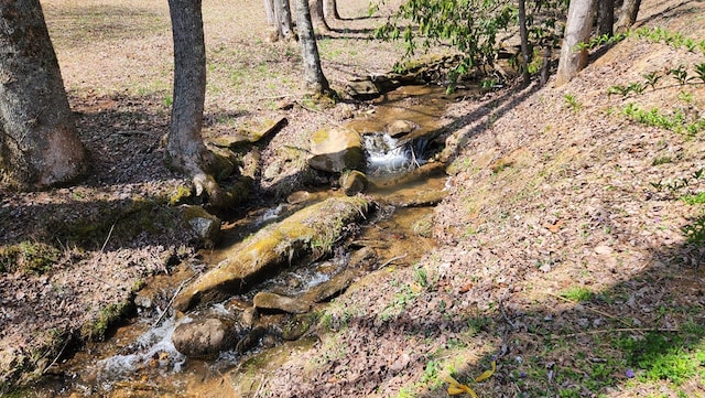 349 Kirby Ln, Murphy, NC 28906 - view of nature