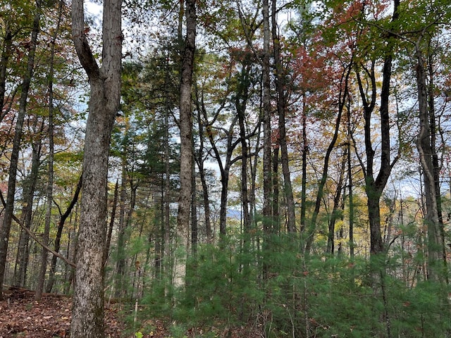 00 Whitecliff Dr, Ellijay, GA 30540
