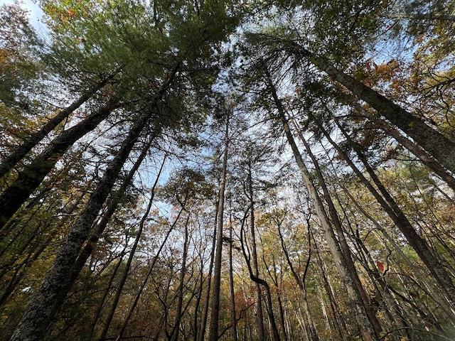 00 Whitecliff Dr, Ellijay, GA 30540