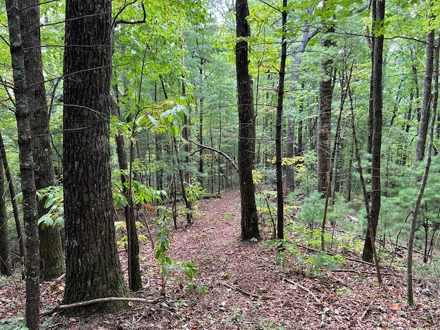 00 Whitecliff Dr, Ellijay, GA 30540