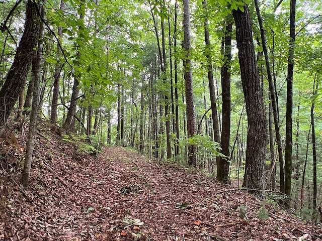 00 Whitecliff Dr, Ellijay, GA 30540