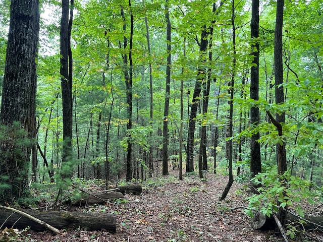 00 Whitecliff Dr, Ellijay, GA 30540