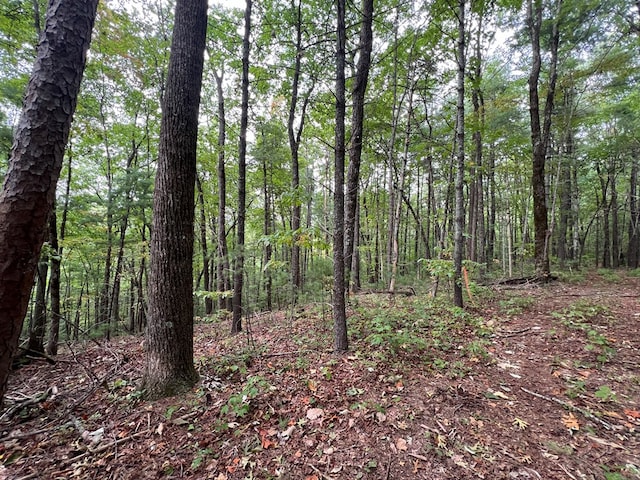00 Whitecliff Dr, Ellijay, GA 30540