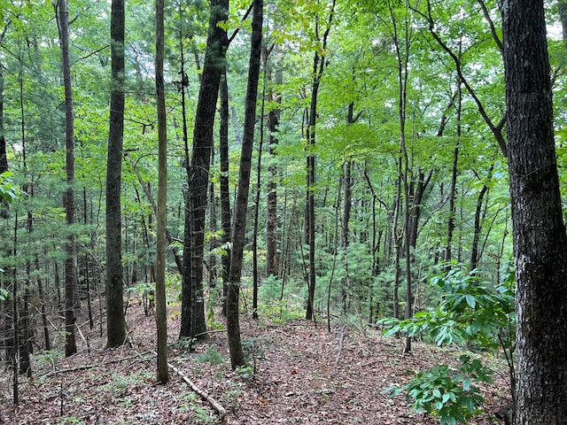 00 Whitecliff Dr, Ellijay, GA 30540