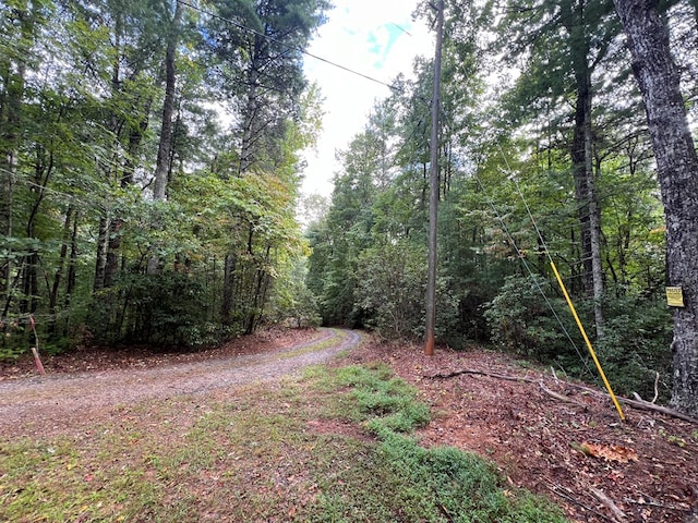 00 Whitecliff Dr, Ellijay, GA 30540