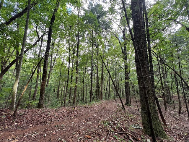 00 Whitecliff Dr, Ellijay, GA 30540