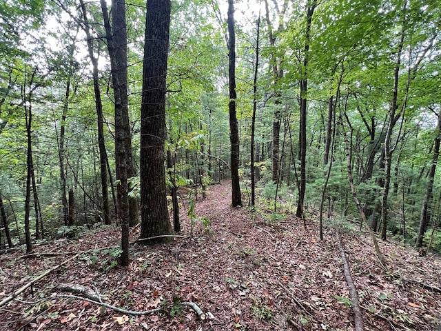 00 Whitecliff Dr, Ellijay, GA 30540