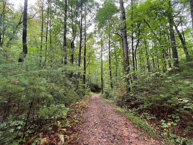00 Whitecliff Dr, Ellijay, GA 30540