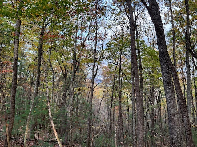 00 Whitecliff Dr, Ellijay, GA 30540