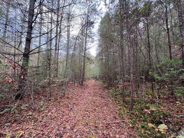 00 Whitecliff Dr, Ellijay, GA 30540