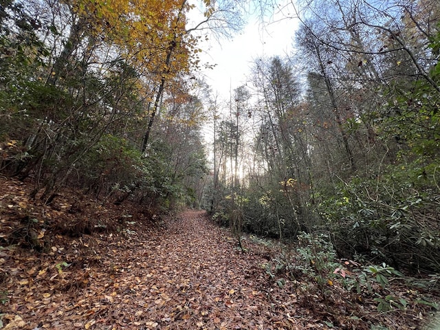 00 Whitecliff Dr, Ellijay, GA 30540